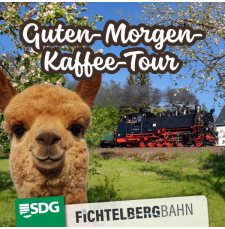 Guten-Morgen-Kaffeetour bei den Alpakas der Traumweide