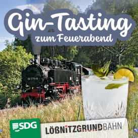 Gin-Tasting zum Feuerabend